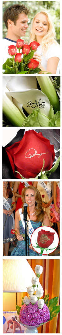 Speaking Roses business opportunity happy couple