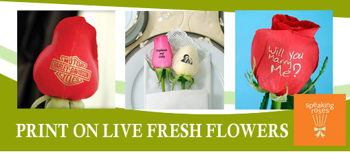 Speaking Roses business opportunity